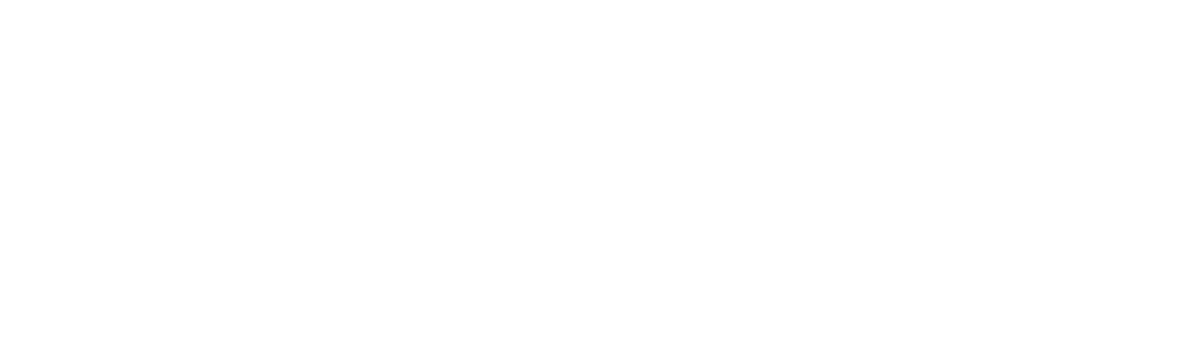 Elovient Software Solutions logo